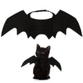 Bat Wings for Cats & Small Dogs