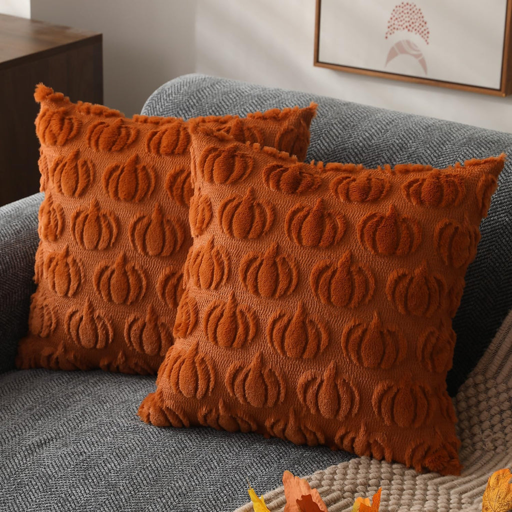 2-Pack 18×18 Fall Pumpkin Pillow Covers