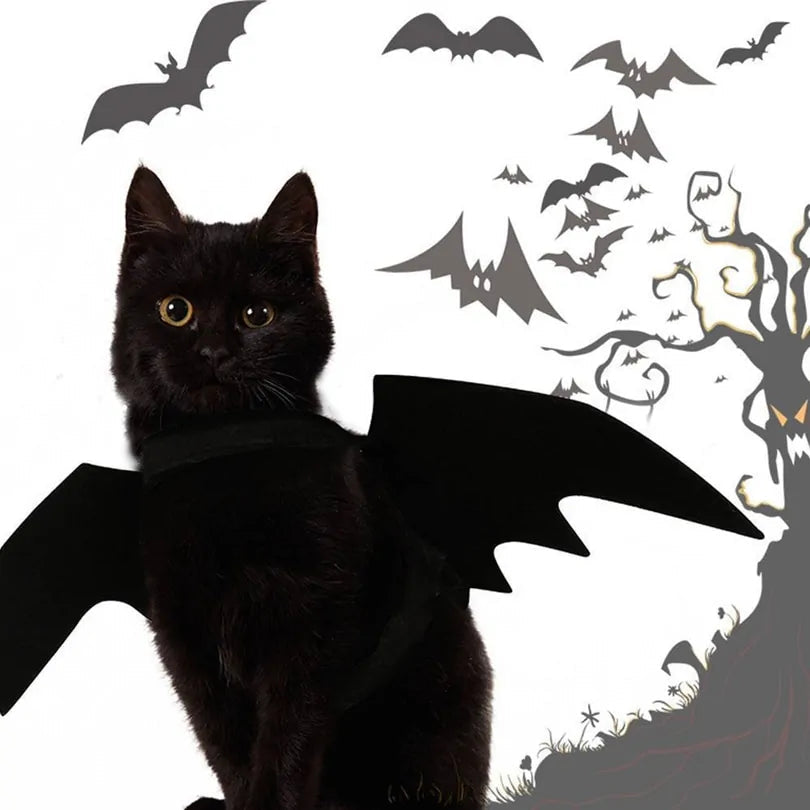 Bat Wings for Cats & Small Dogs